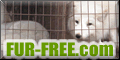 Fur-Free.com